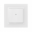 On-wall button controller PLASTIC - 2 buttons <br>RFWB-20/G photo